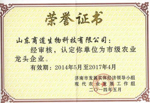 榮譽(yù)資質(zhì)